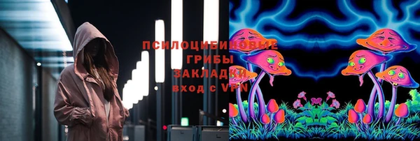 spice Богданович