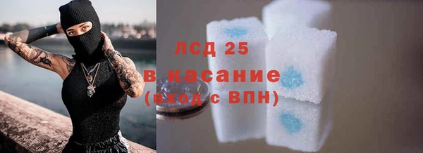spice Богданович