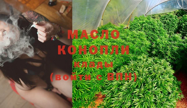 spice Богданович