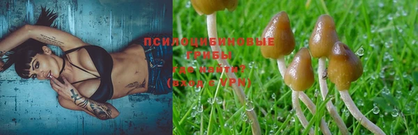 spice Богданович